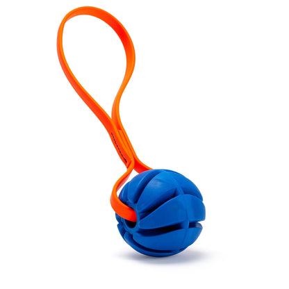 Dogline Rubber Spiral Ball with Biothane Handle