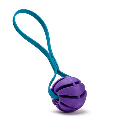 Dogline Rubber Spiral Ball with Biothane Handle