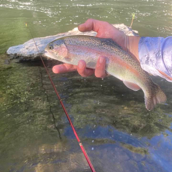 Wasatch Akai Samurai Tenkara Rod