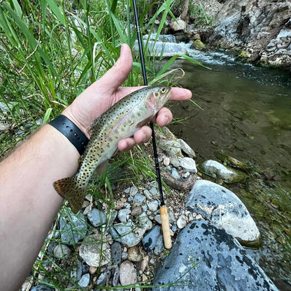 Wasatch Darth Quattro Tenkara Rod