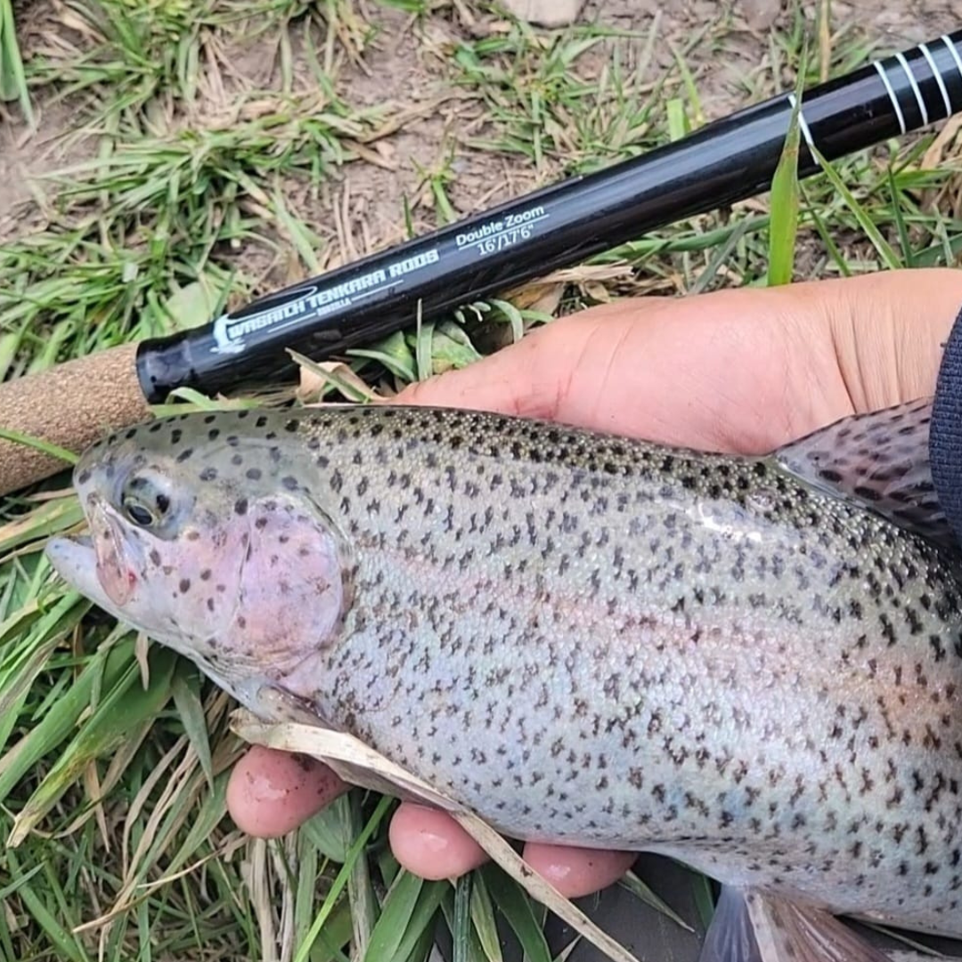 Wasatch RodZilla Tenkara Rod