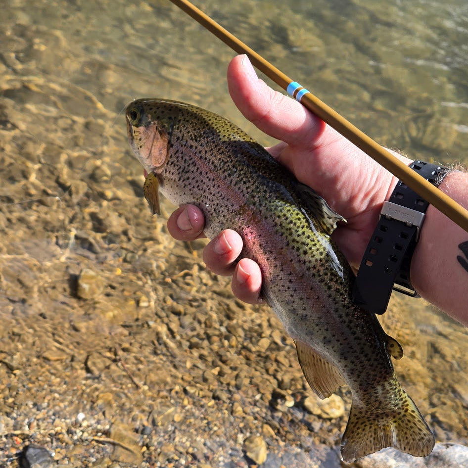 Wasatch Tenkara Rods SNUB NOSE IV