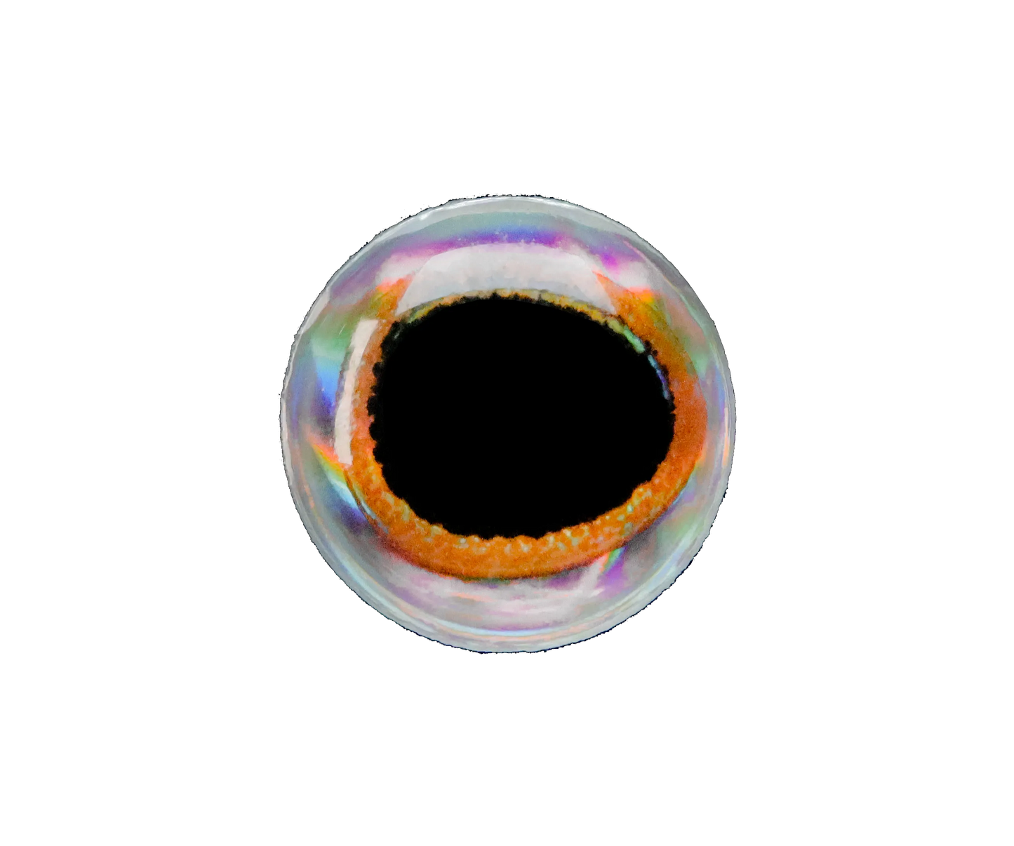 Lunker City 3D Fish Eyes Bulk