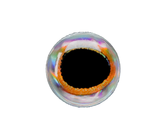 Lunker City 3D Fish Eyes Bulk