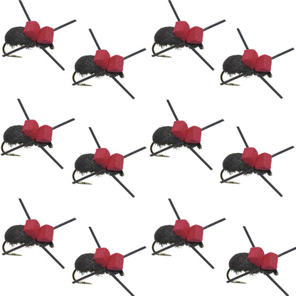 The Fly Fishing Place Barbless Red Top Black Foam Beetle Terrestrial Trout Dry Fly Fishing Flies - 1 Dozen Flies Size 14