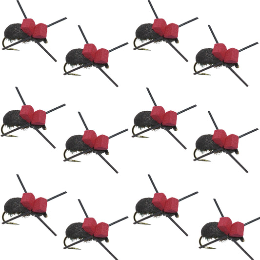 The Fly Fishing Place Barbless Red Top Black Foam Beetle Terrestrial Trout Dry Fly Fishing Flies - 1 Dozen Flies Size 14