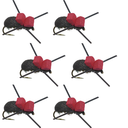 The Fly Fishing Place Barbless Red Top Black Foam Beetle Terrestrial Trout Dry Fly Fishing Flies - 6 Flies Size 14