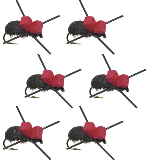 The Fly Fishing Place Barbless Red Top Black Foam Beetle Terrestrial Trout Dry Fly Fishing Flies - 6 Flies Size 14