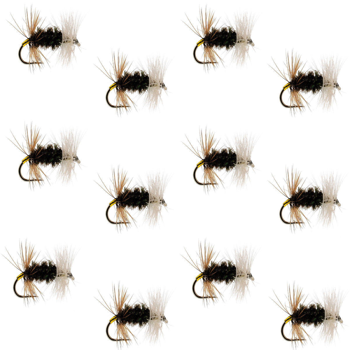 The Fly Fishing Place Renegade Classic Trout Dry Fly 12 Flies Hook Size 18