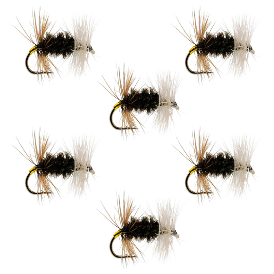 The Fly Fishing Place Renegade Classic Trout Dry Fly 6 Flies Hook Size 18