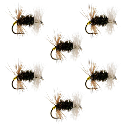 The Fly Fishing Place Renegade Classic Trout Dry Fly 6 Flies Hook Size 16