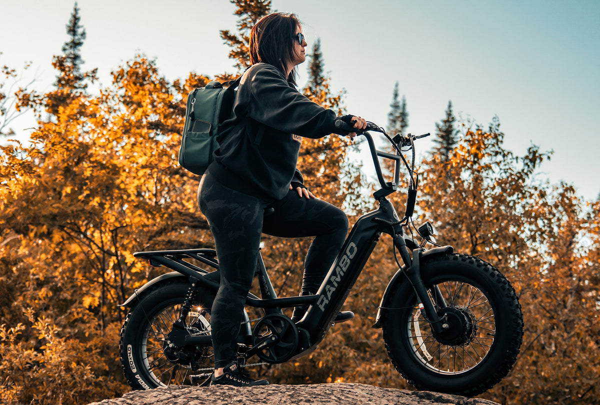 Rambo Bikes Revolt AWD Step Thru Bike