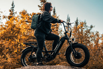 Rambo Bikes Revolt AWD Step Thru Bike