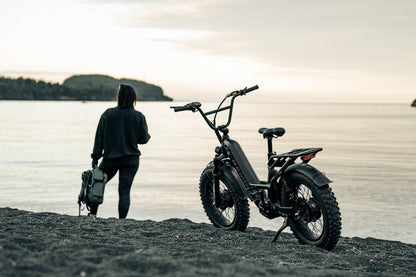 Rambo Bikes Revolt AWD Step Thru Bike