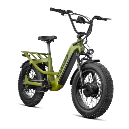 Rambo Bikes Revolt AWD Step Thru Bike