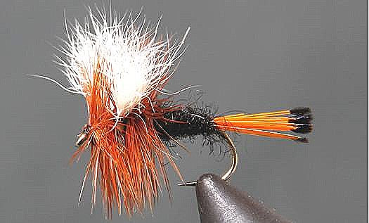 Stone Creek Rio Grand King Wulff