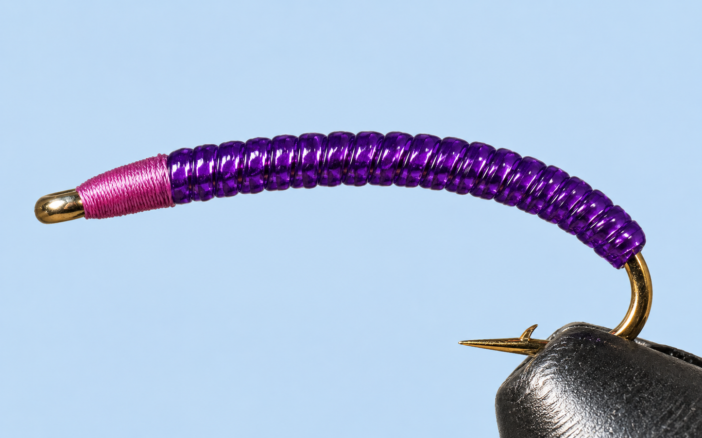 Stone Creek Rock Worm / Annelid - Red or Purple