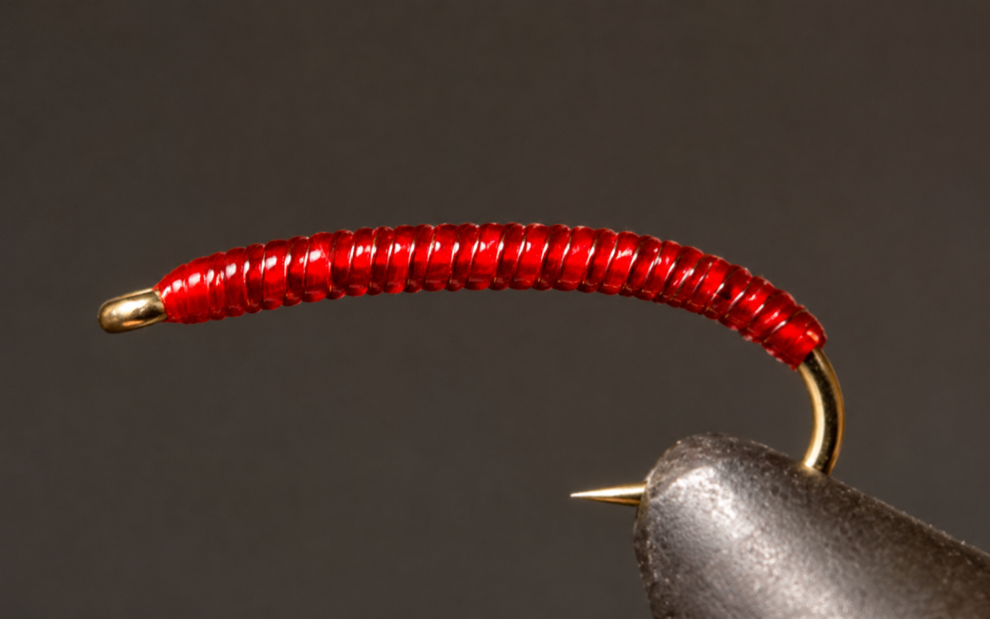 Stone Creek Rock Worm / Annelid - Red or Purple