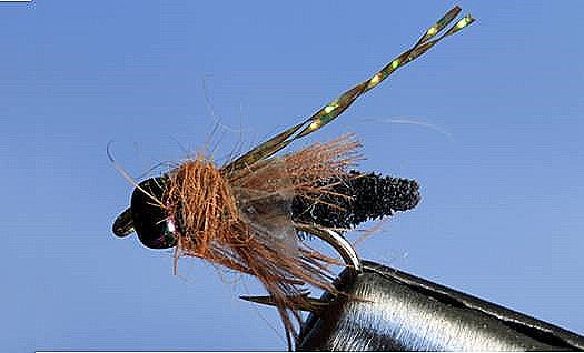 Stone Creek Rocky Mtn. Caddis - 5 Colors
