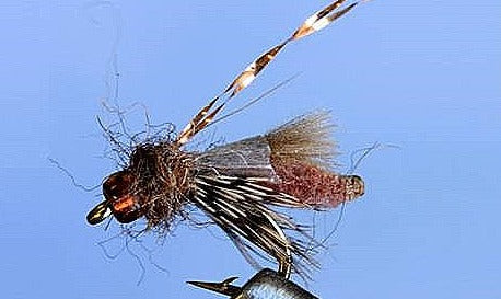 Stone Creek Rocky Mtn. Caddis - 5 Colors