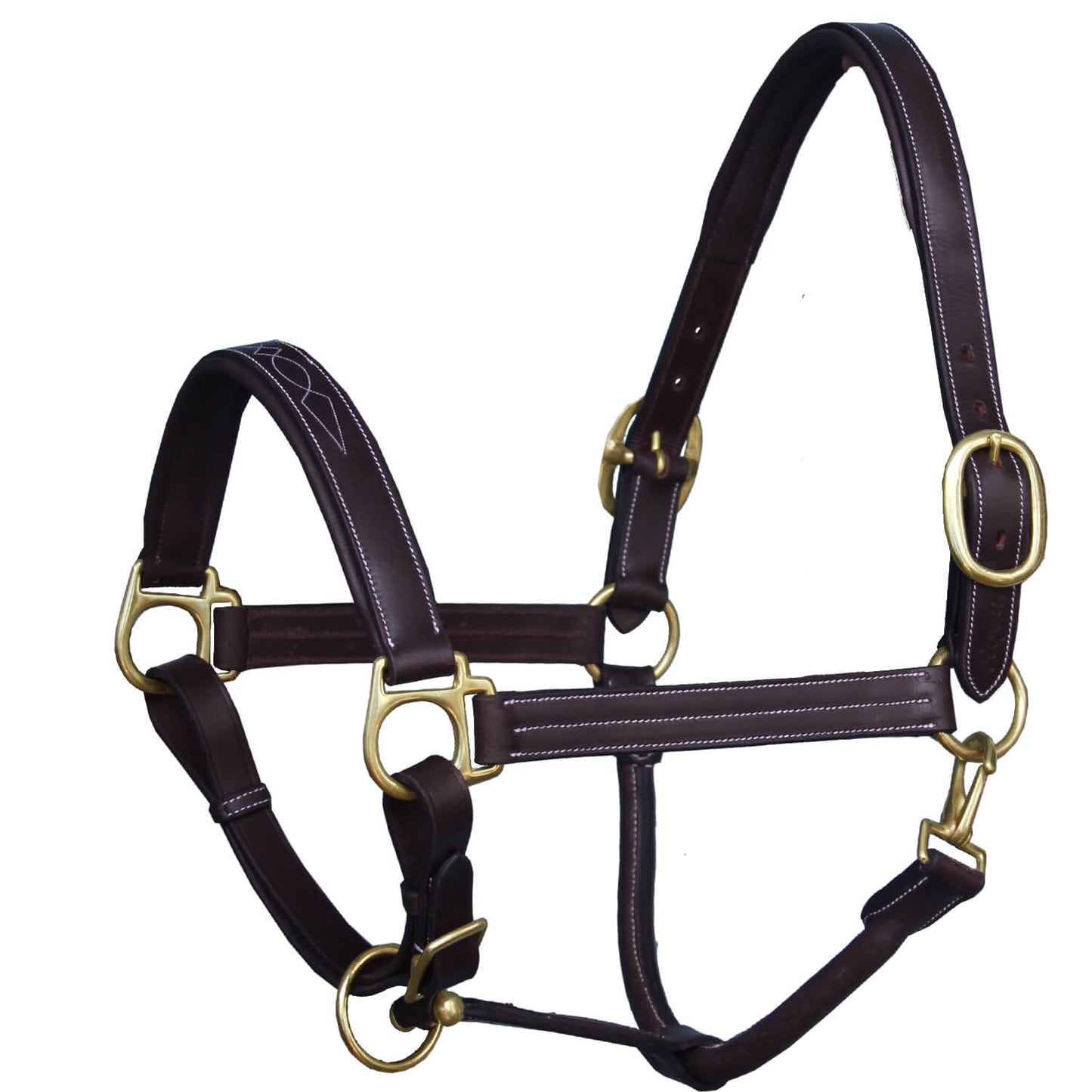 Bridles & Reins ExionPro Triple Stitched Halter - Brass Hardware