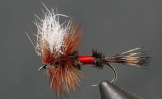 Stone Creek Royal Wulff