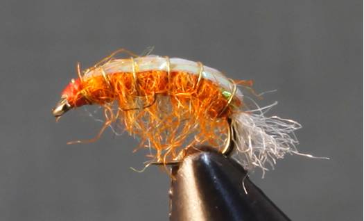 Stone Creek Scuds