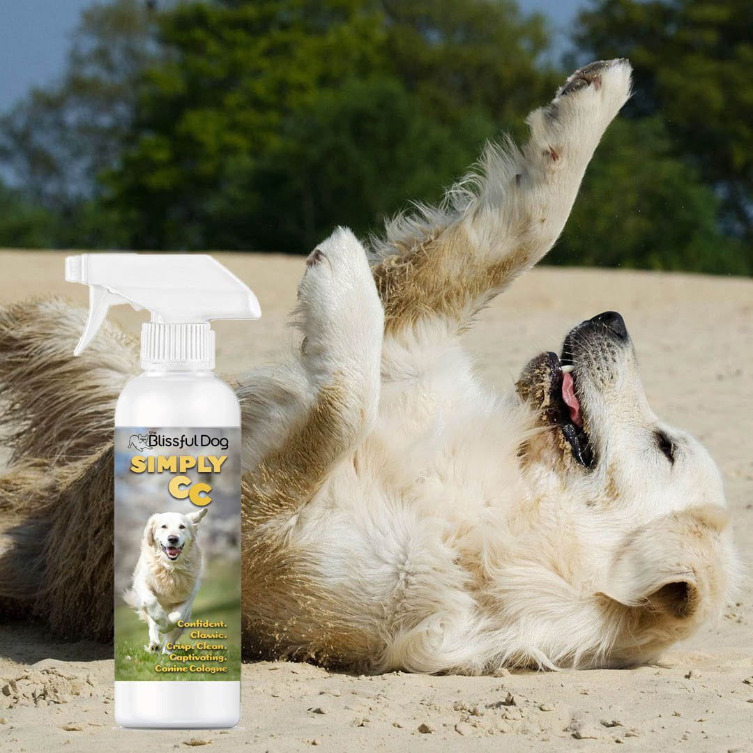 The Blissful Dog Simply CC Dog Cologne for the Classically Confident Canine