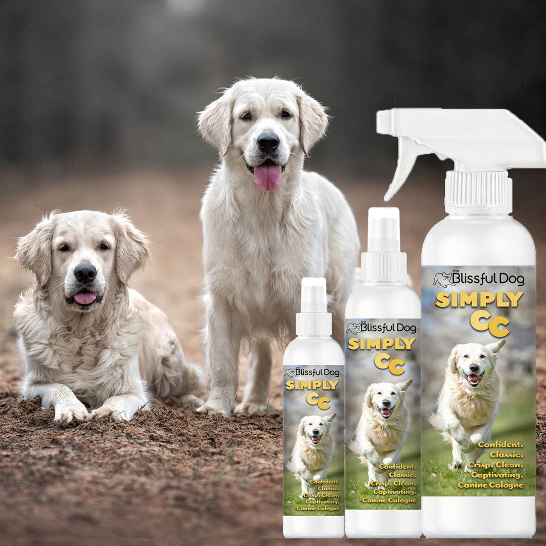 The Blissful Dog Simply CC Dog Cologne for the Classically Confident Canine