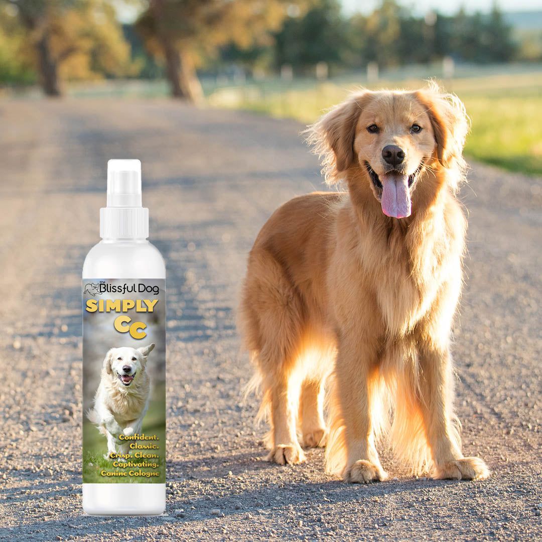 The Blissful Dog Simply CC Dog Cologne for the Classically Confident Canine