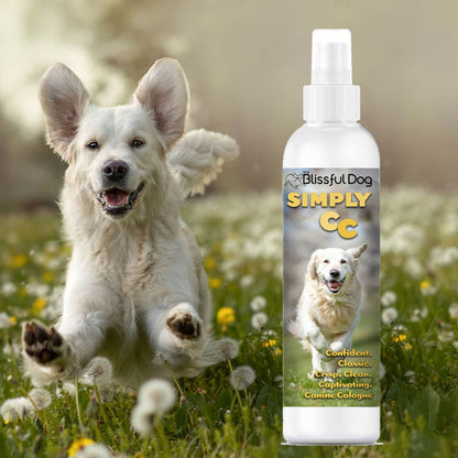 The Blissful Dog Simply CC Dog Cologne for the Classically Confident Canine
