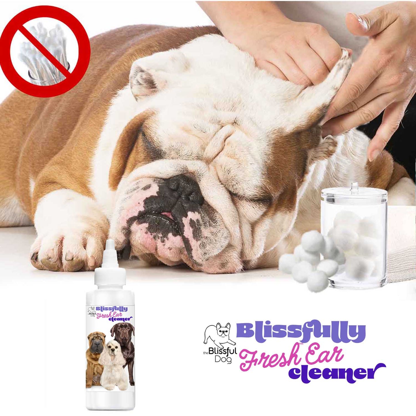 The Blissful Dog Blissfully Fresh™ Dog Ear Cleaner