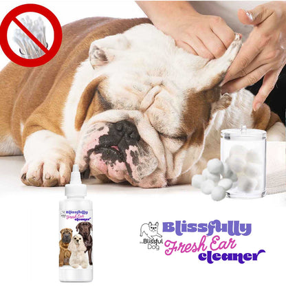 The Blissful Dog Blissfully Fresh™ Dog Ear Cleaner