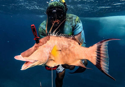 SORD Fishing  4" FREEDIVING KNIFE