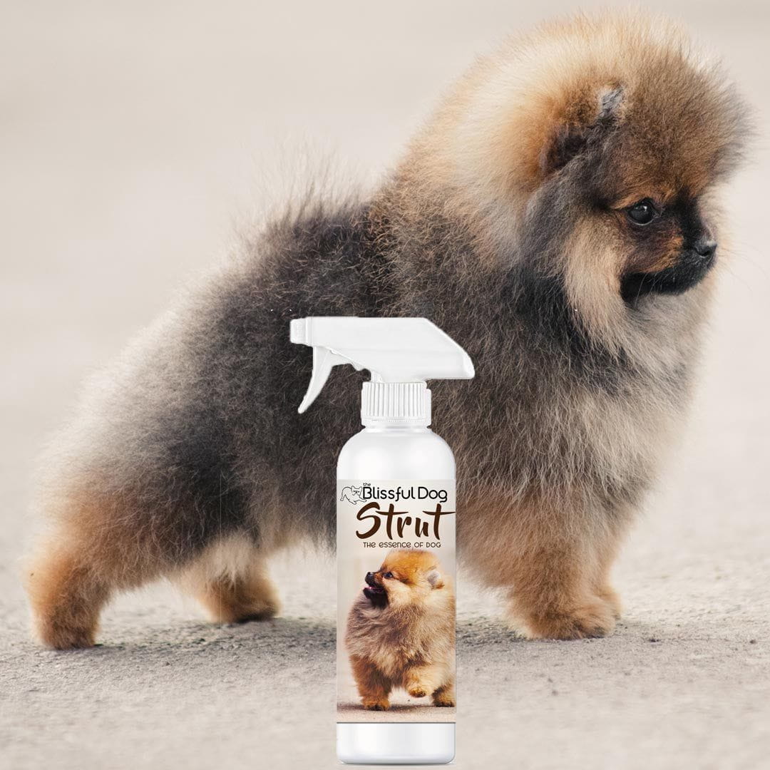 The Blissful Dog Strut Dog Cologne for the Ruler of the Kingdom