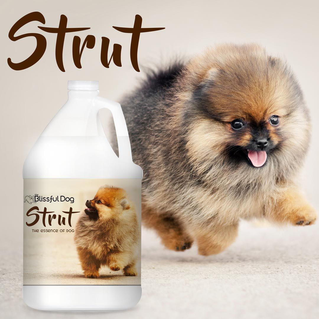 The Blissful Dog Strut Dog Cologne for the Ruler of the Kingdom