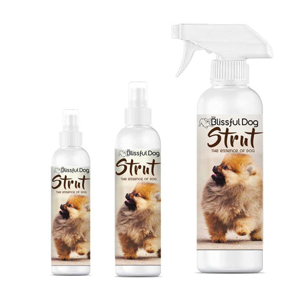 The Blissful Dog Strut Dog Cologne for the Ruler of the Kingdom
