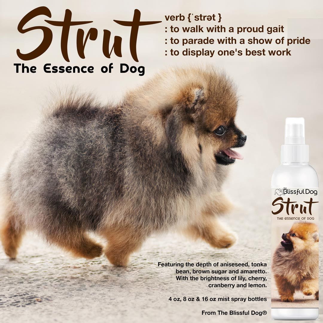 The Blissful Dog Strut Dog Cologne for the Ruler of the Kingdom