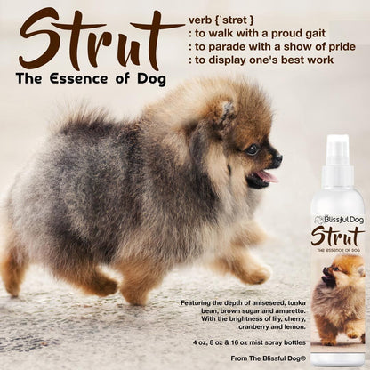 The Blissful Dog Strut Dog Cologne for the Ruler of the Kingdom