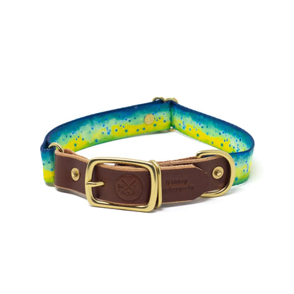Whiskey Leatherworks Saltwater Dog Collars