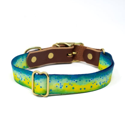 Whiskey Leatherworks Saltwater Dog Collars
