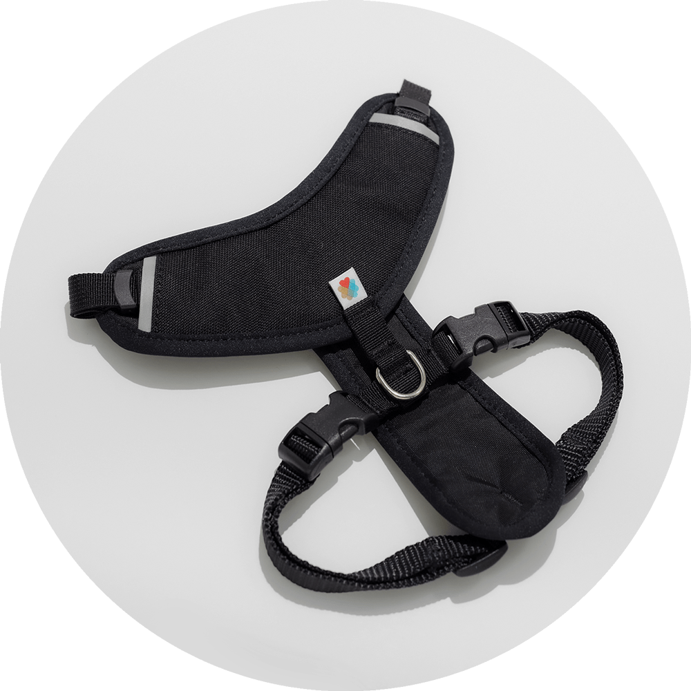 Wildebeest Sutro Snug Fit Dog Harness