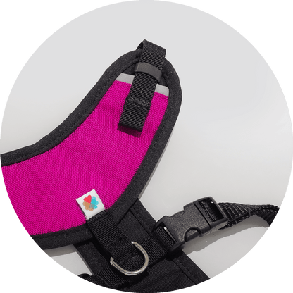 Wildebeest Sutro Snug Fit Dog Harness