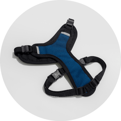 Wildebeest Sutro Snug Fit Dog Harness