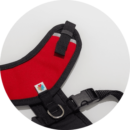 Wildebeest Sutro Snug Fit Dog Harness