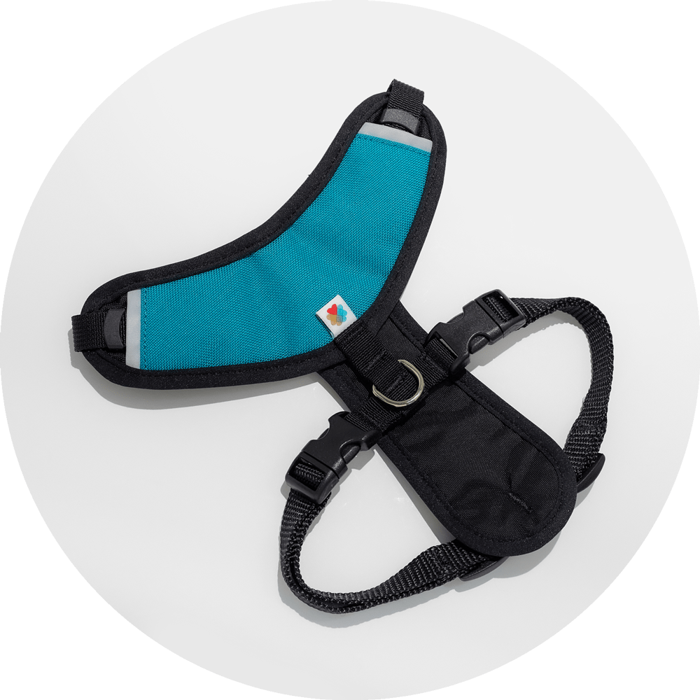 Wildebeest Sutro Snug Fit Dog Harness