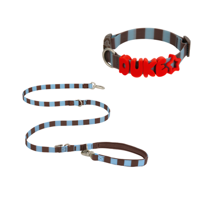 Springland Pets Waterproof Dog Collar