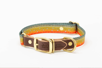 Whiskey Leatherworks Freshwater Dog Collars