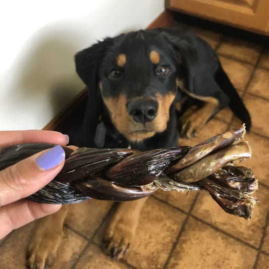 Bully Bunches - 6 Inch Braided Jerky Stick