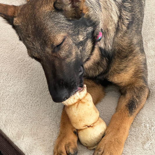 Bully Bunches - 5-6 Inch Peanut Butter Cheek Roll